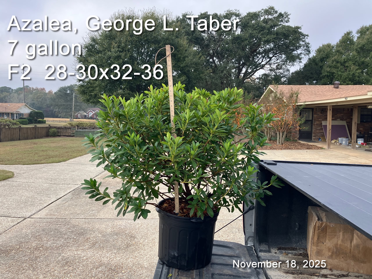 gallery/gt7 f2 nov18.jpg